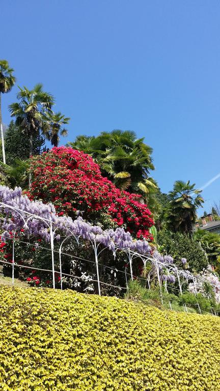 Appartamenti Orta Orta San Giulio Chambre photo